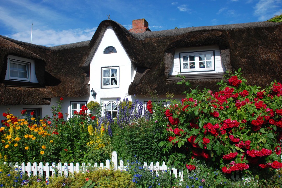 Amrum - kleine Insel, große Freiheit | Union Reiseteam 