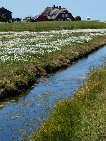 Hallig Hooge 2021 | Union Reiseteam 