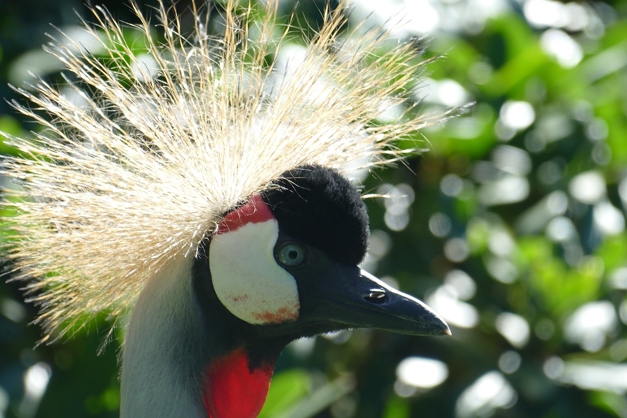 Weltvogelpark Walsrode 2021 | Union Reiseteam 
